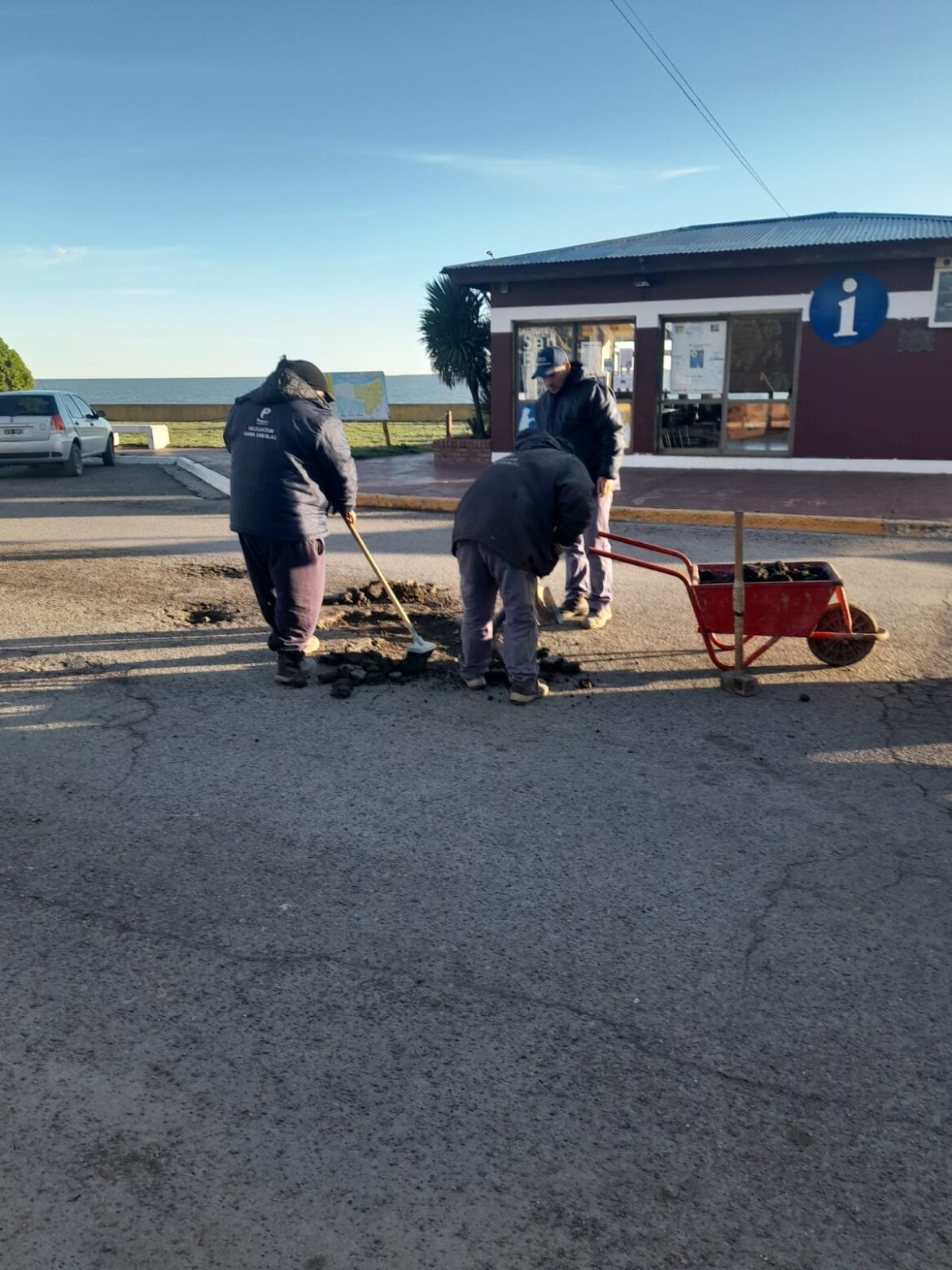 Trabajos de forestación en el ingreso a Bahía San Blas