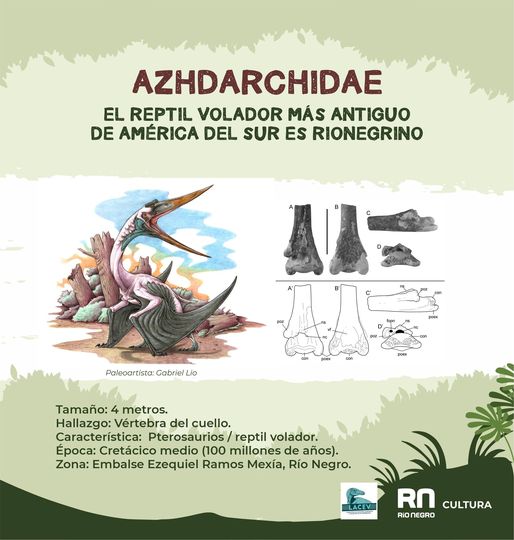 ¡El reptil volador más antiguo de América del Sur fue descubierto en Río Negro!