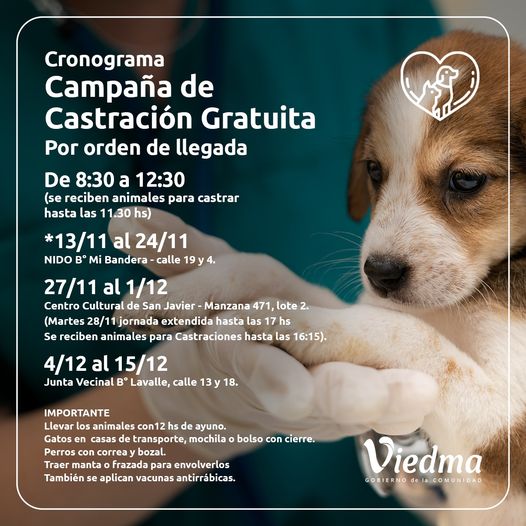 CRONOGRAMA DE CASTRACIONES GRATUITAS