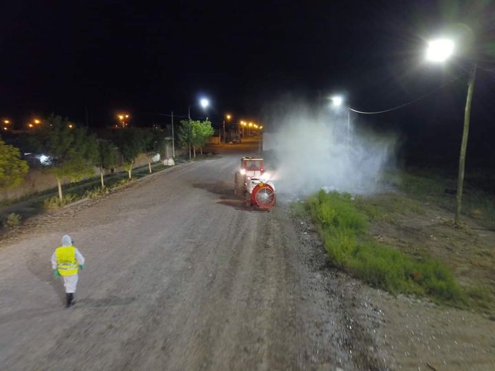 HOY CONTINÚA EL CRONOGRAMA DE DESINSECTACIÓN CONTRA INSECTOS VOLADORES Y RASTREROS