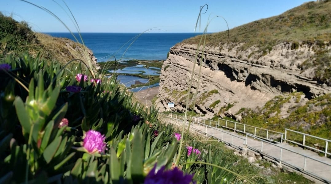 APERTURA CONTROLADA DE PLAYAS EN EL AREA NATURAL PROTEGIDA «PUNTA BERMEJA»