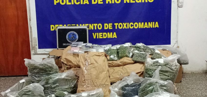 Policía halló una huerta de marihuana en Viedma: dos personas detenidas