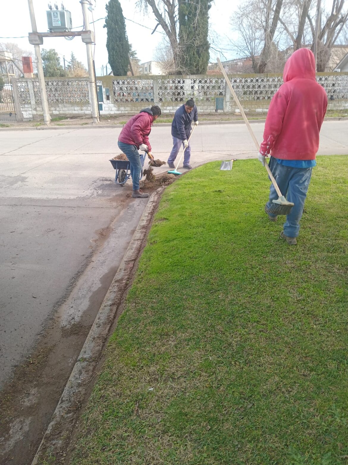 CONTINÚAN LOS TRABAJOS PARA EL EMBELLECIMIENTO DE ESPACIOS VERDES