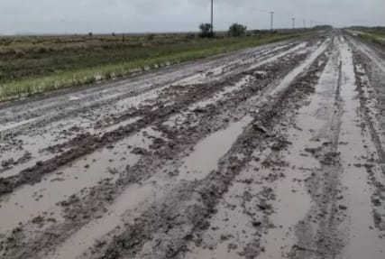 PRECAUCIÓN DE TRÁNSITO EN CAMINOS RURALES