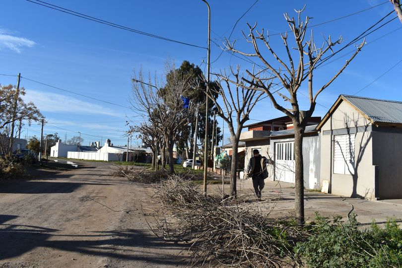 TRABAJOS DE PODA EN BARRIOS Y PLAZAS DE CARMEN DE PATAGONES