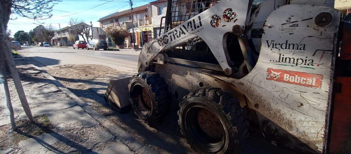 DURANTE TODA LA SEMANA SE LLEVA A CABO LA JORNADA DE CASTRACIÓN Y LIMPIEZA EN EL BARRIO CEFERINO