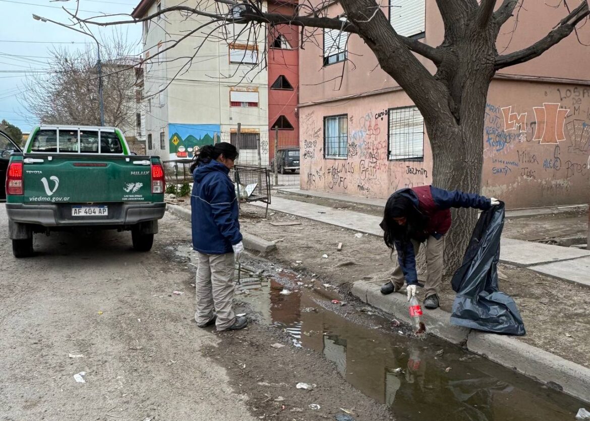 IMPORTANTES JORNADAS DE LIMPIEZA Y CASTRACIONES EN EL BARRIO CEFERINO