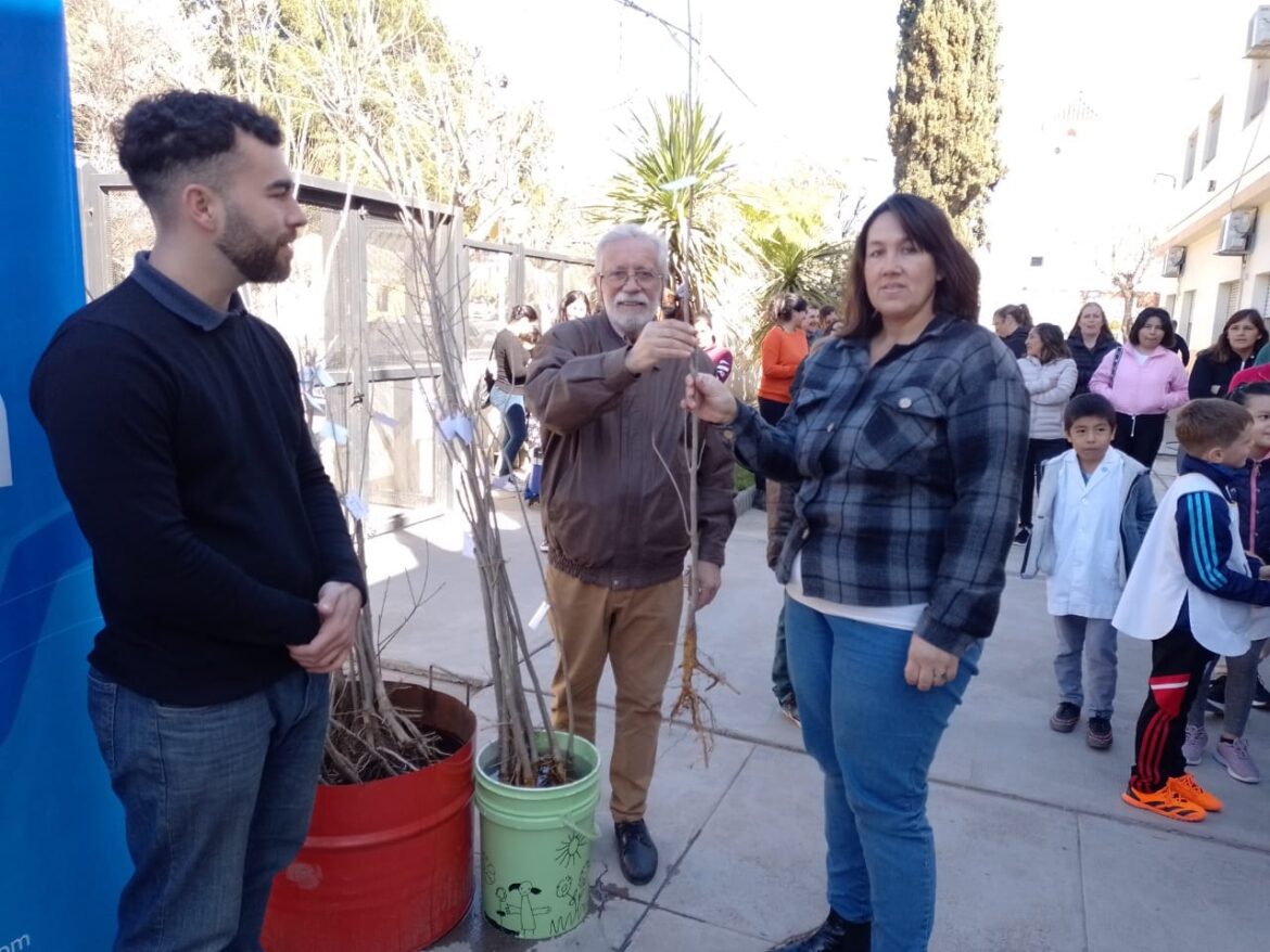 DÍA DEL ÁRBOL EN VILLALONGA: EDUCACIÓN Y ACCIÓN PARA EL MEDIO AMBIENTE