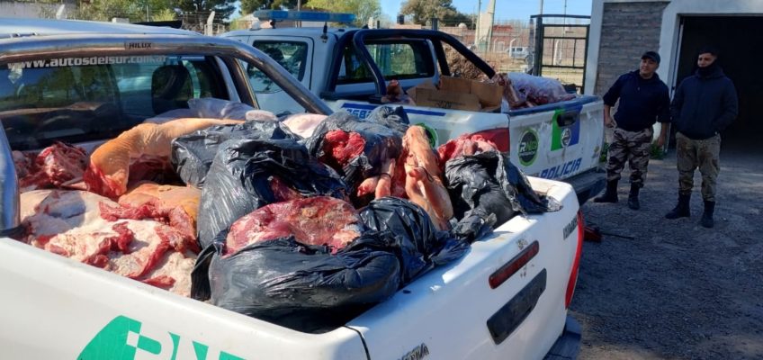 Más de 1.600 kilos de carne decomisados en comercios de San Javier