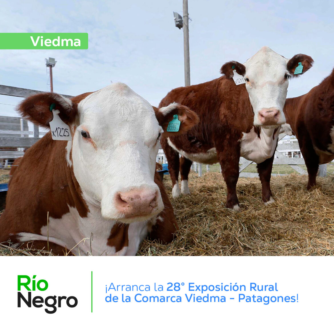 La 28° Exposición Rural de la Comarca Viedma – Patagones comienza este viernes!