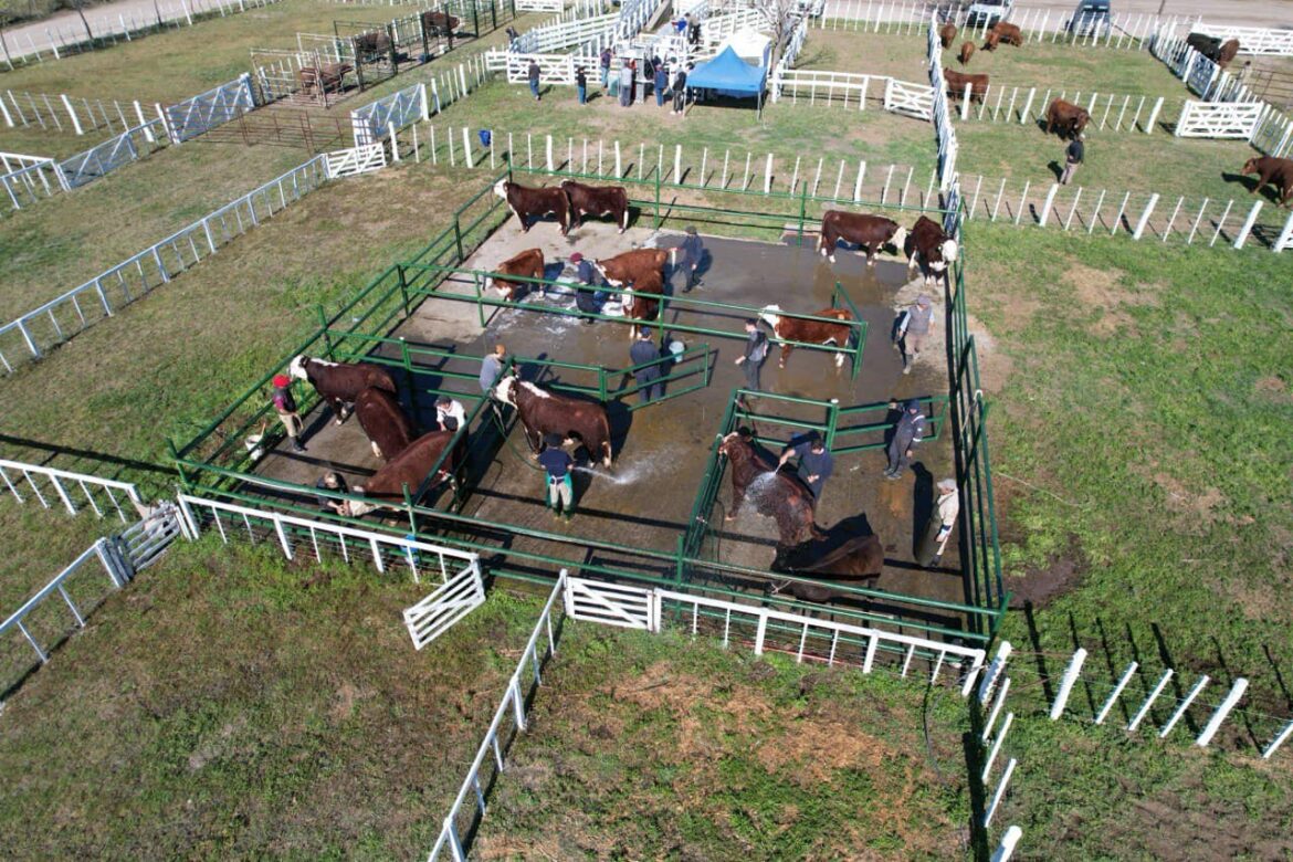 COMENZÓ LA 28 EDICIÓN DE LA EXPOSICIÓN RURAL EN VIEDMA