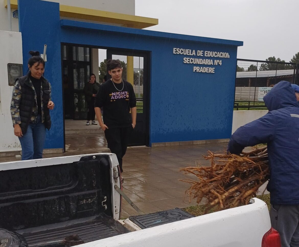 PROYECTO AMBIENTAL Y PARTICIPACIÓN JUVENIL EN JUAN A. PRADERE