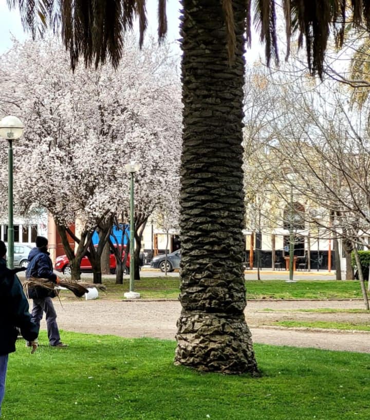 MANTENIMIENTO DE ESPACIOS VERDES EN CARMEN DE PATAGONES