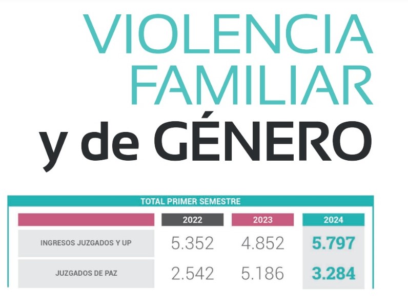 Los procesos sobre violencia representan el 60 por ciento de todas las causas del fuero de Familia