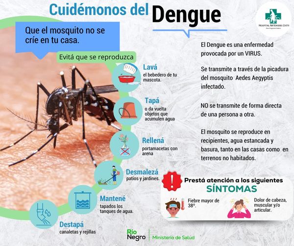 Dengue