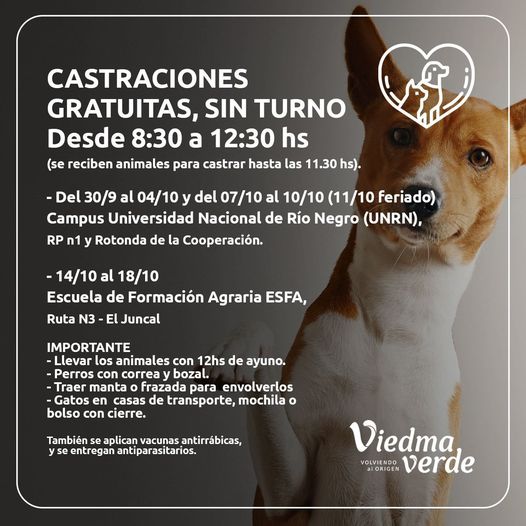 DÍAS, HORARIOS Y LUGAR PARA CASTRACIONES