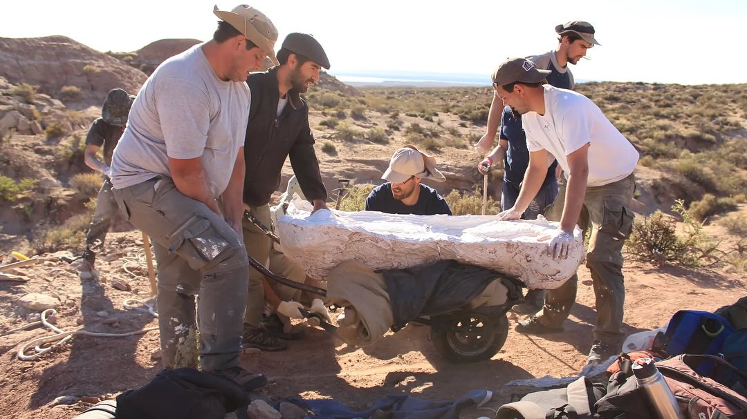 Descubren Fósiles de un gigante carnívoro en Río Negro