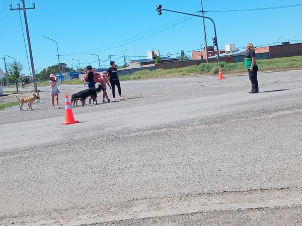 OPERATIVOS DIARIOS EN RUTA 1 Y GIACHINO