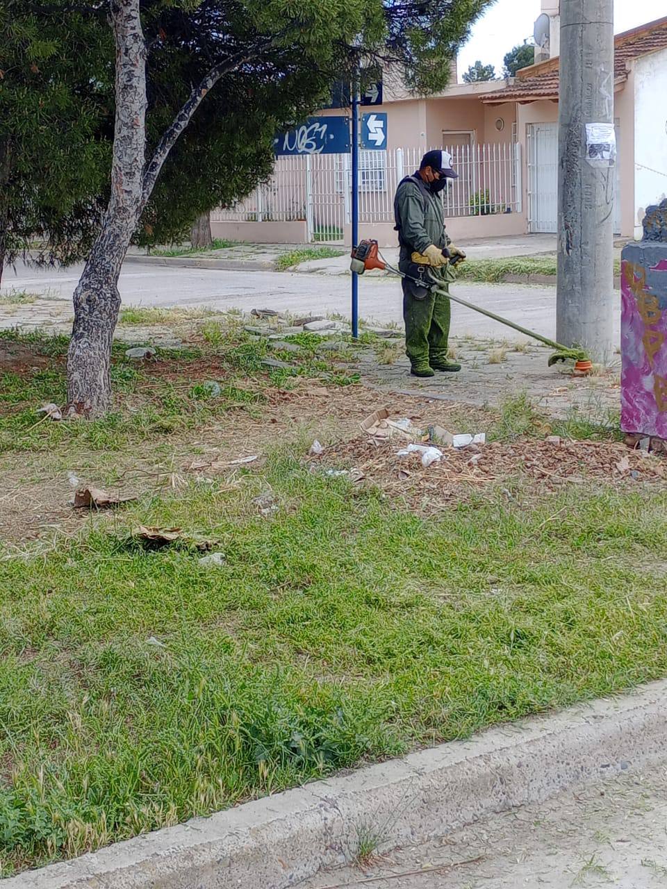 SE INTENSIFICAN LAS TAREAS DE DESMALEZAMIENTO TRAS LAS LLUVIAS