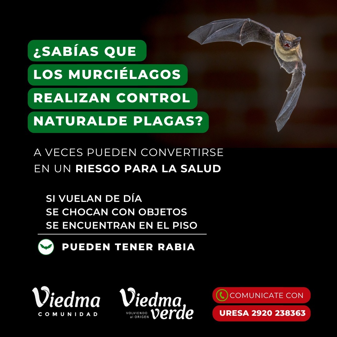 ¿SABÍAS QUE LOS MURCIÉLAGOS Y LAS COMADREJAS REALIZAN CONTROL NATURAL DE PLAGAS?*