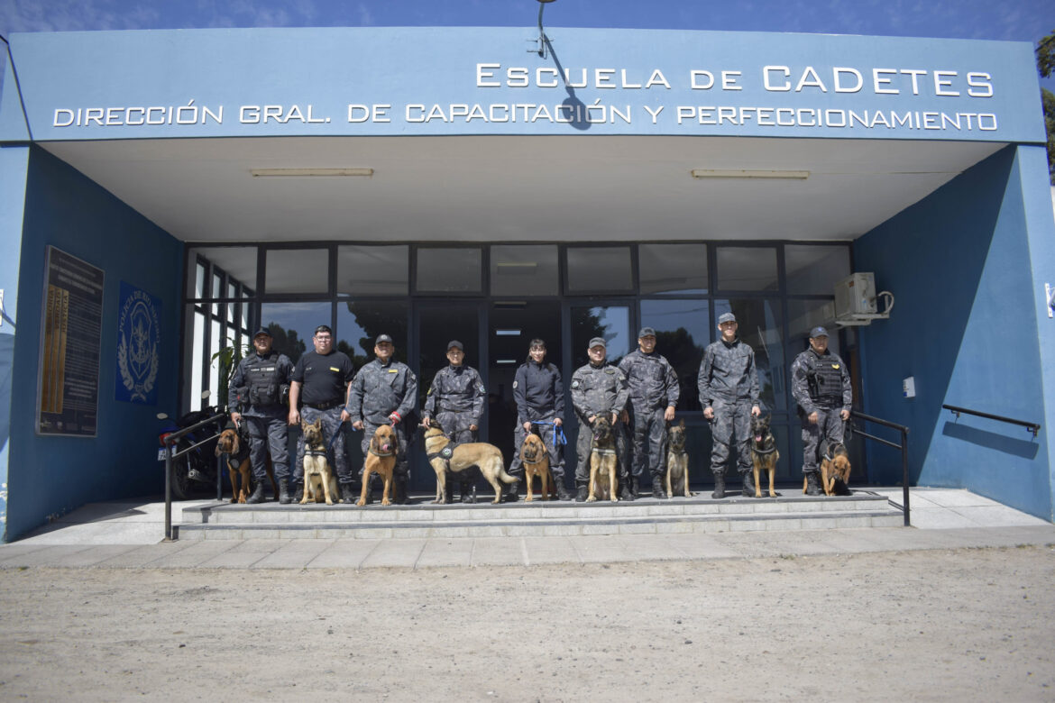 Fue presentado en Viedma un curso para guías de caninos detectores