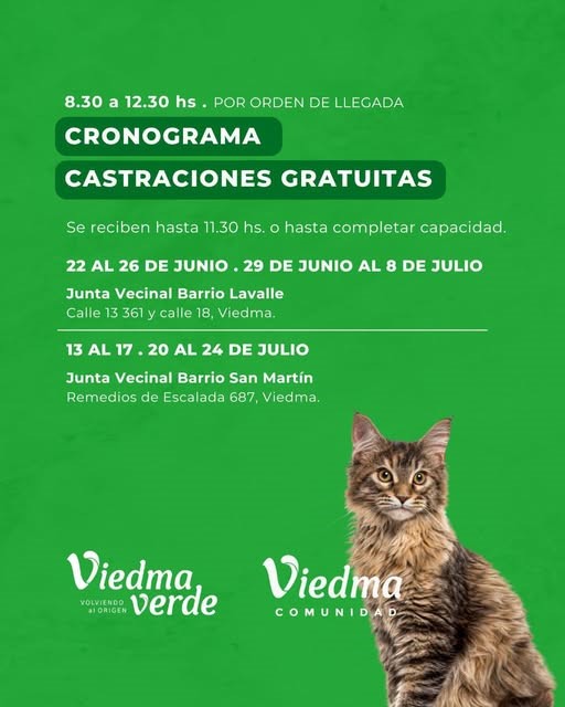 CASTRACIONES GRATUITAS