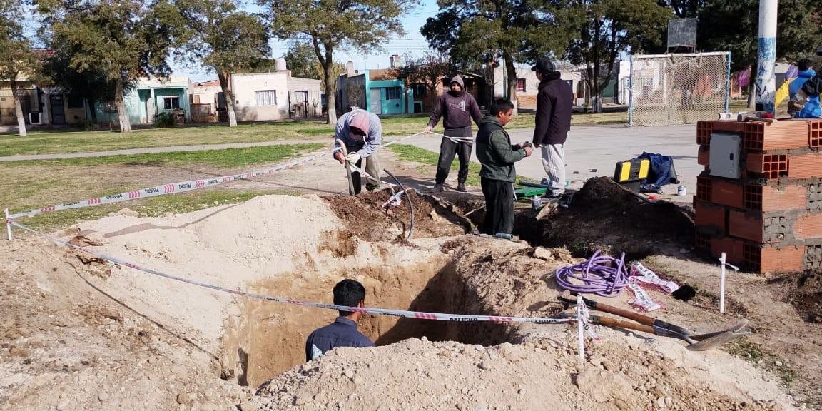 Obras de riego automatizado y tareas de poda de arbolado urbano