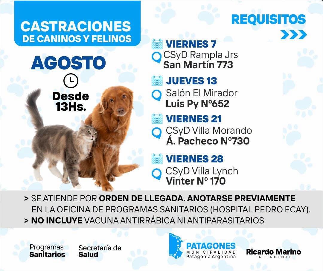 📢 ¡No te cuelgues con la inscripción! 🐶🐱
