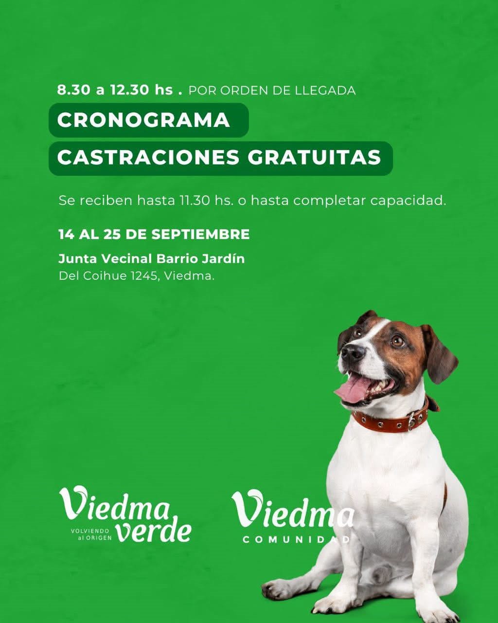 CASTRACIONES GRATUITAS 🐾