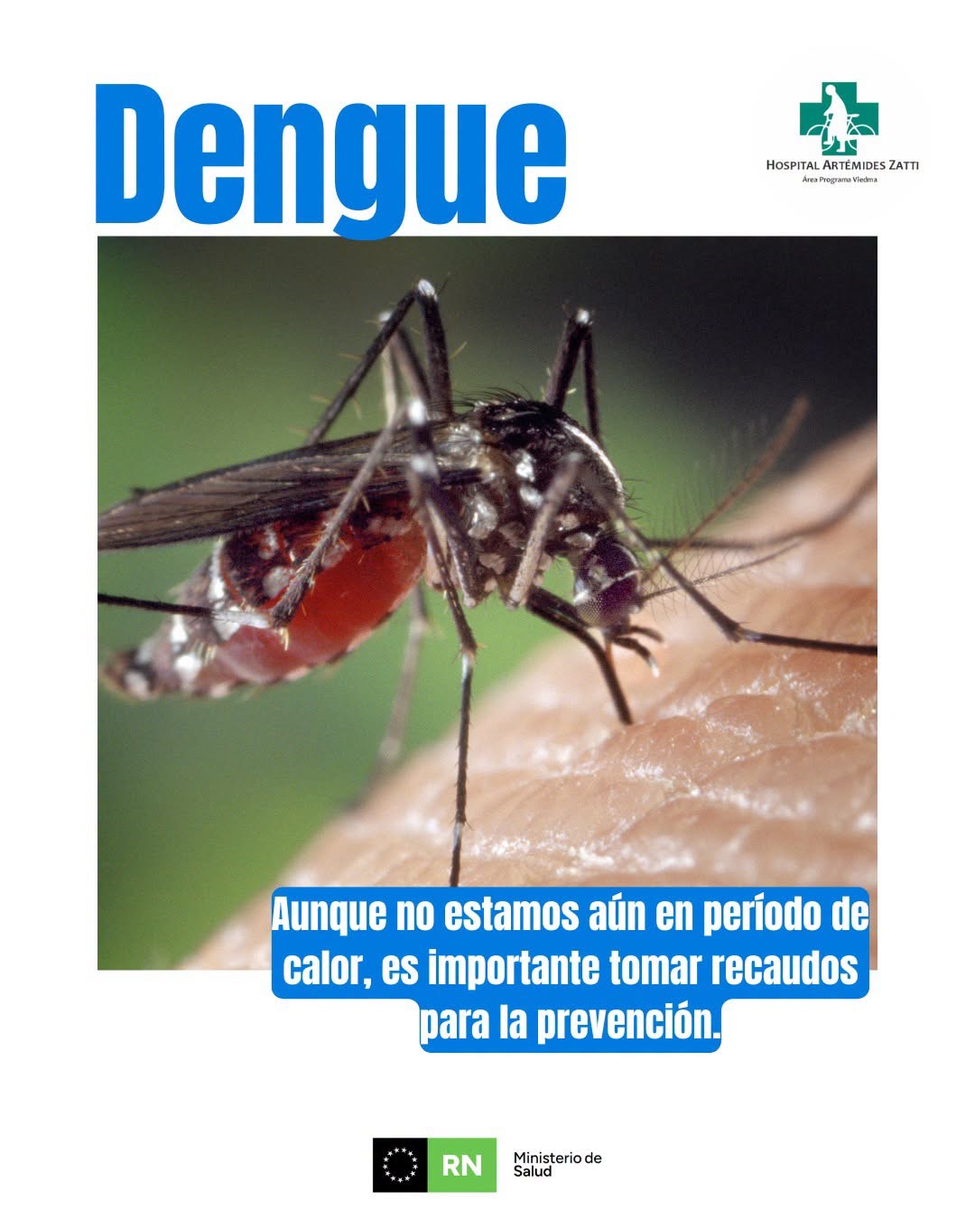 Prevenir el dengue es una tarea de todos los días.